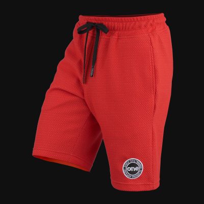 Pantaloni scurți bărbaţi Core Mesh