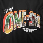 Tricou Slim-Fit Bărbaţi - ONE-SM - 04
