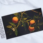 Tricou Alb Femei Regular-Fit - Juicy One - 02